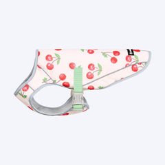 Dog Cooling Vest - Cherries