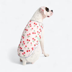 Dog Cooling Vest - Cherries