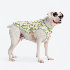 Dog Cooling Vest - Kiwi