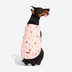 Dog Cooling Vest - Peaches