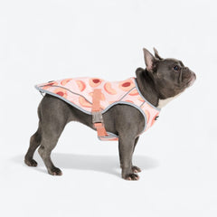 Dog Cooling Vest - Peaches