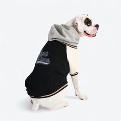 Dog Varsity Jacket - Black