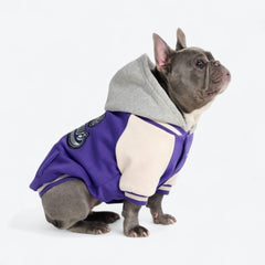 Dog Varsity Jacket - Purple