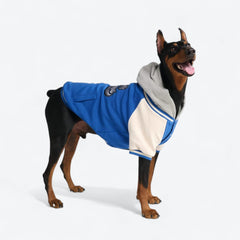 Dog Varsity Jacket - Blue