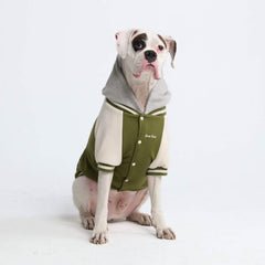 Dog Varsity Jacket - Olive