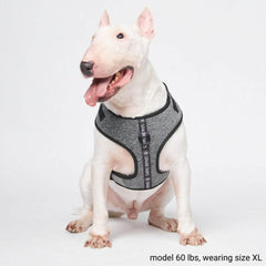 Ultra-Soft Activewear Harness (Multi Color)