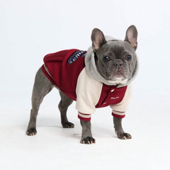 Dog Varsity Jackets