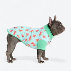 Sunblock Dog T-Shirt - Fruit Print