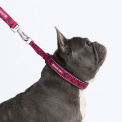 Martingale Collar - Fuchsia Camo