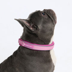 Martingale Collar - Pink