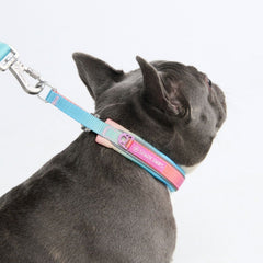 Martingale Collar - Pastel Icing