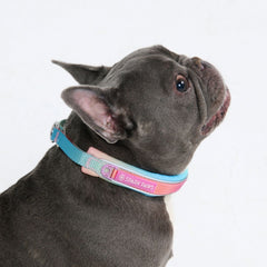 Martingale Collar - Pastel Icing