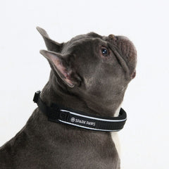 Martingale Collar - Black