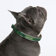 Martingale Collar - Army Green