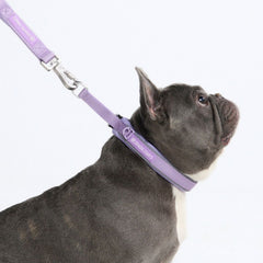 Martingale Collar - Lilac