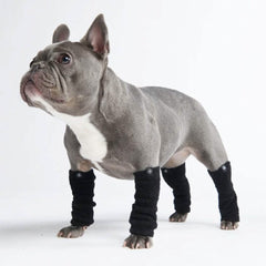 Leg Warmer and Earmuff Protector Set - Black