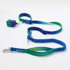 Multipurpose Seatbelt Handsfree Leash & Poop Bag Holder Set