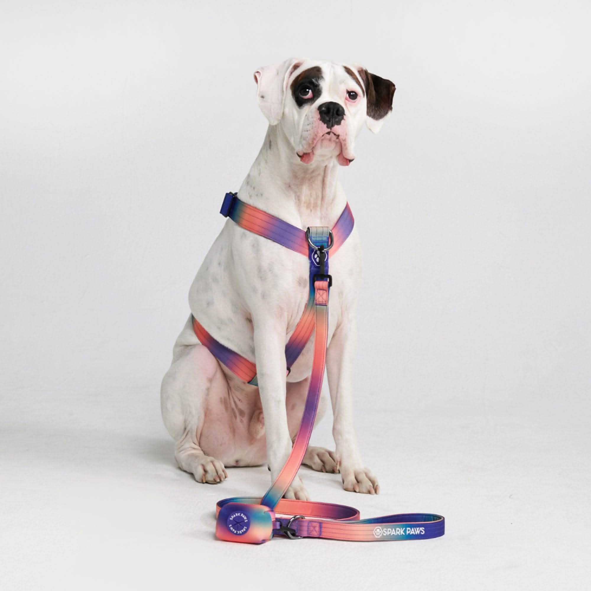 Comfort Control No-Pull Harness Sets