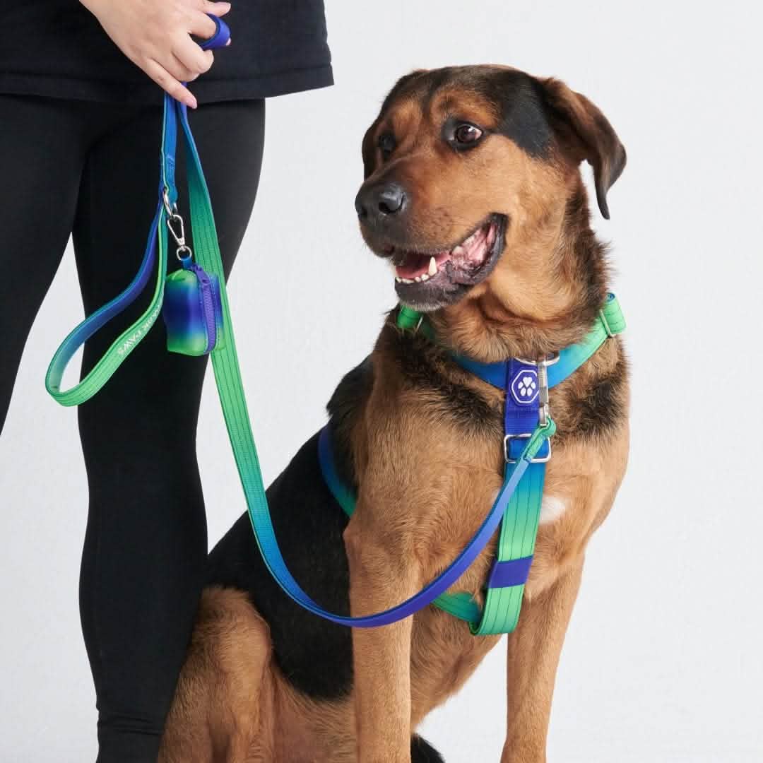 Comfort Control No-Pull Harness Sets