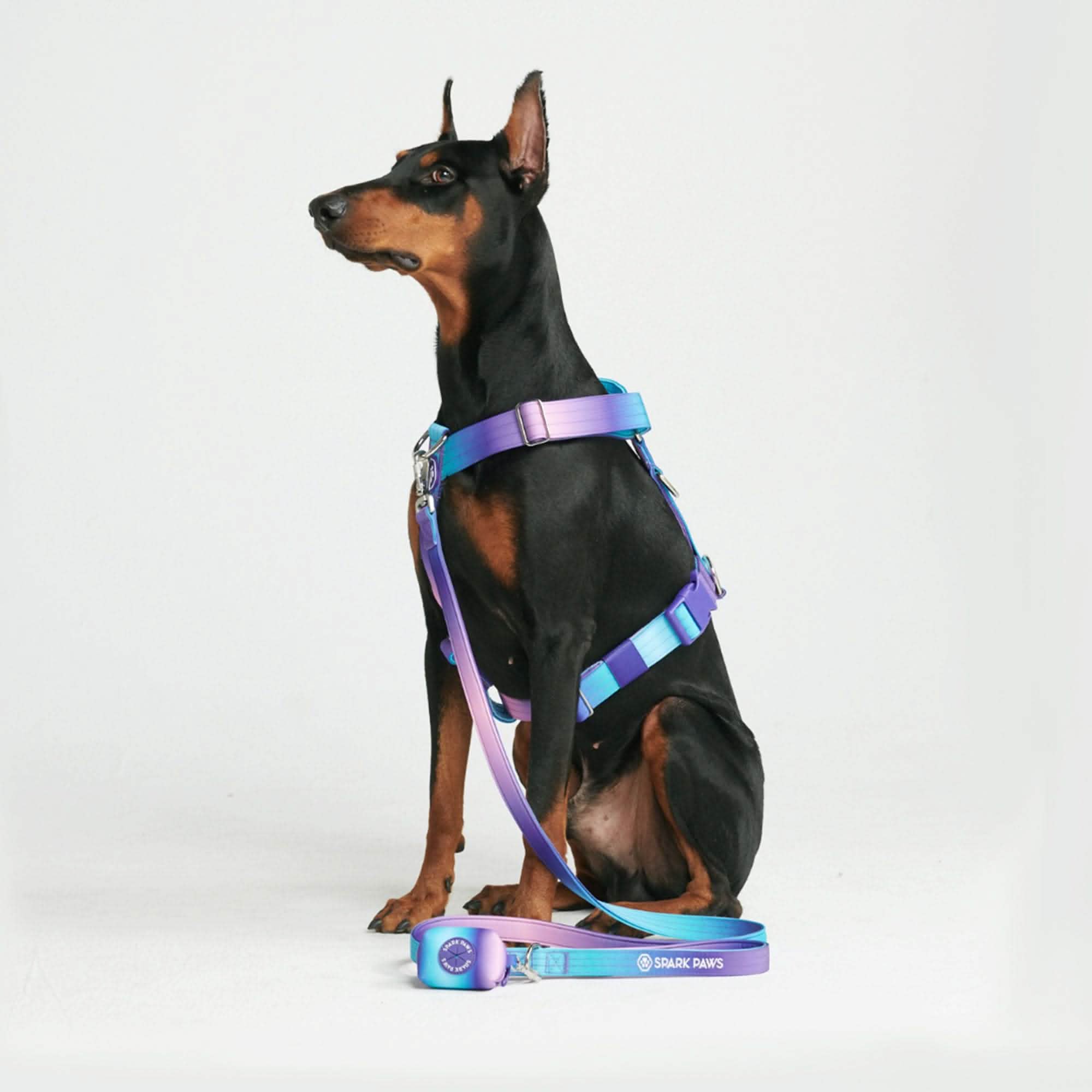 Comfort Control No-Pull Harness Sets