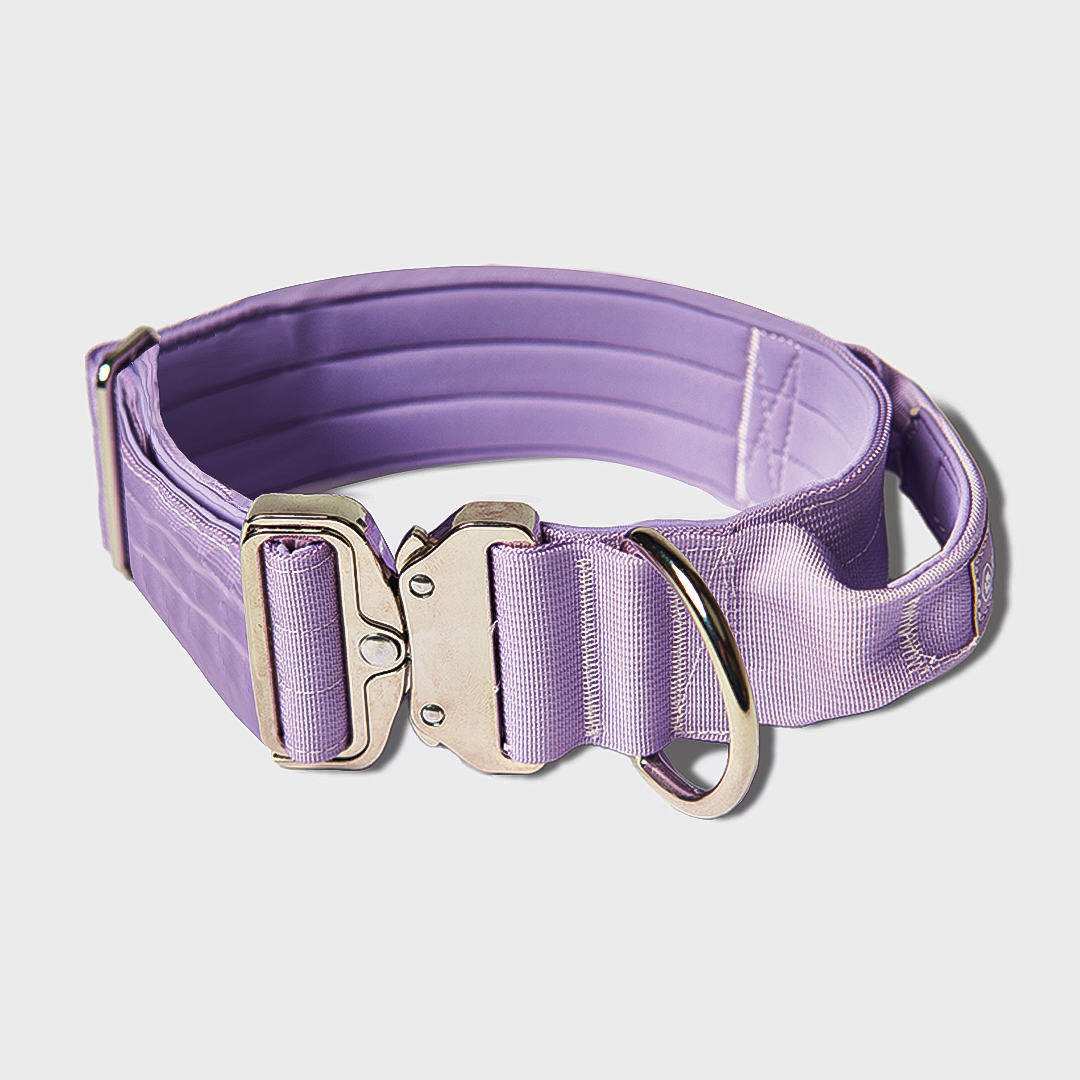 Comfort Control Dog Collar Sets