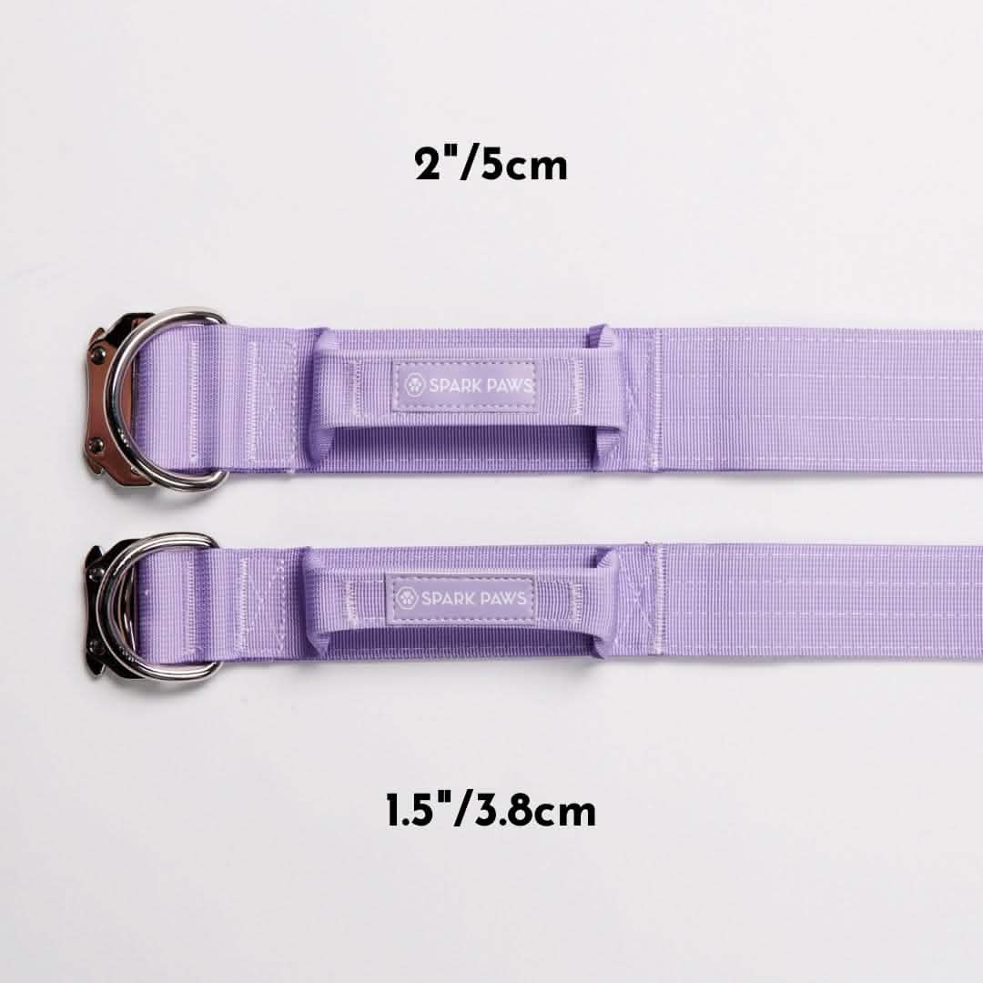 Comfort Control Dog Collar Sets