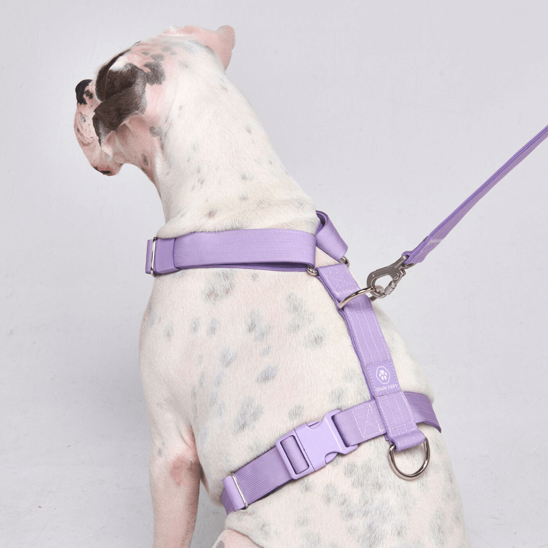 Comfort Control No-Pull Harness Sets