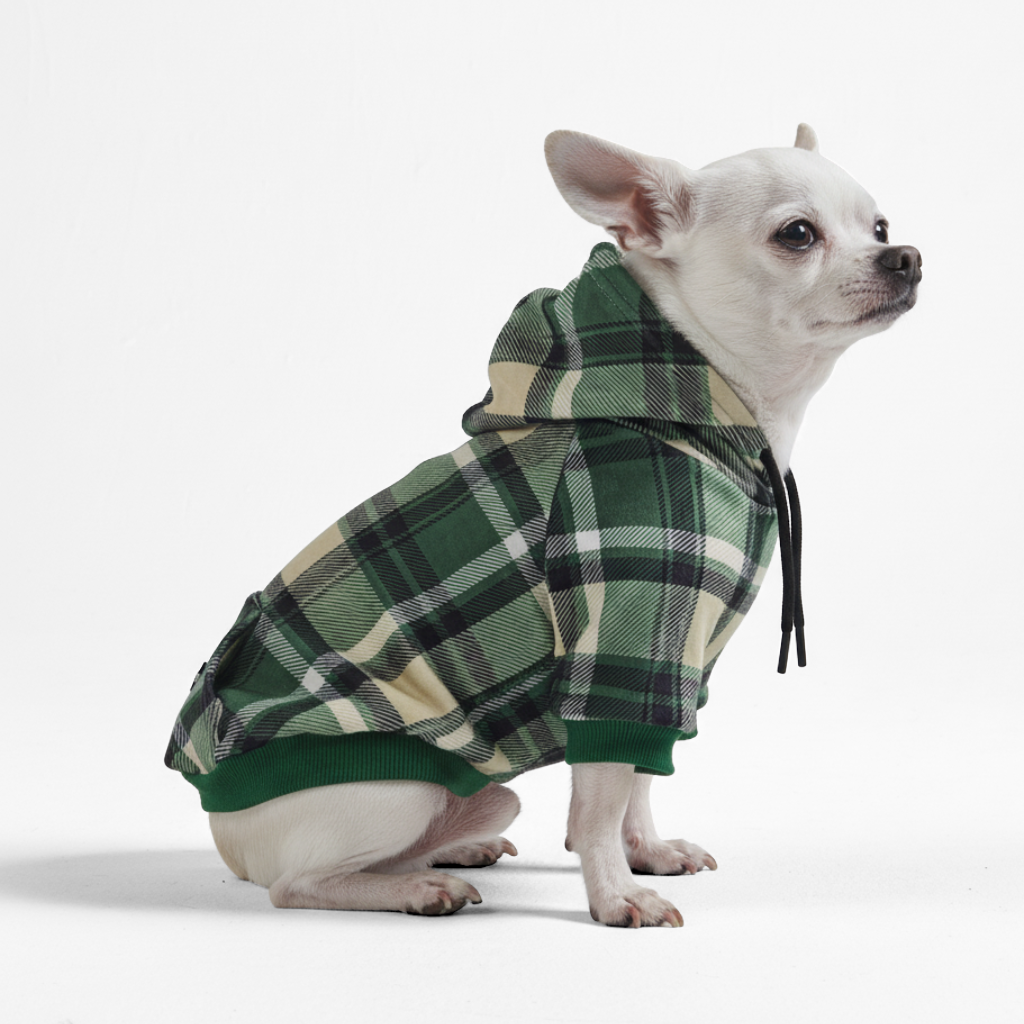 Green Plaid Dog Hoodie