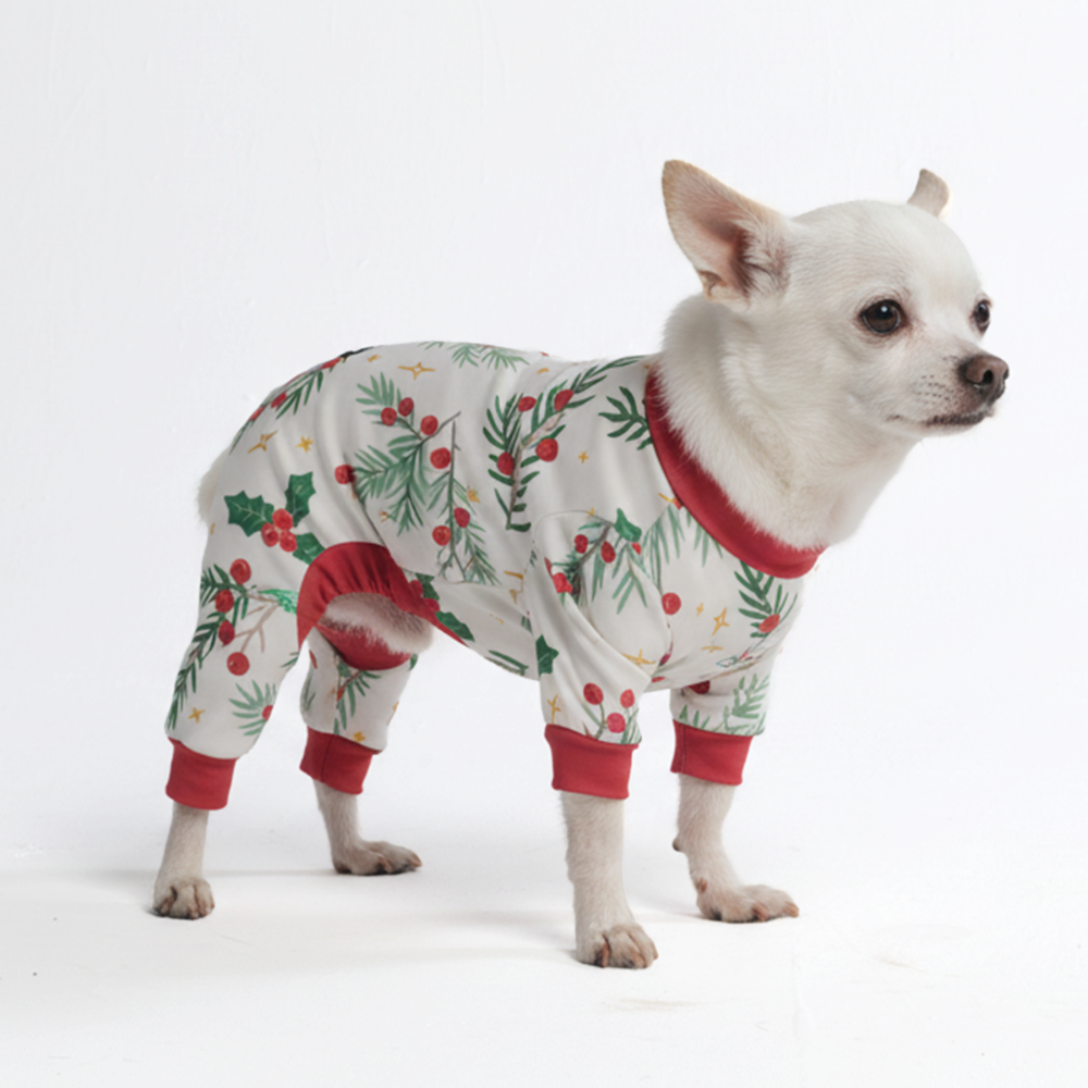 Dog Christmas Pajama - Mistletoe