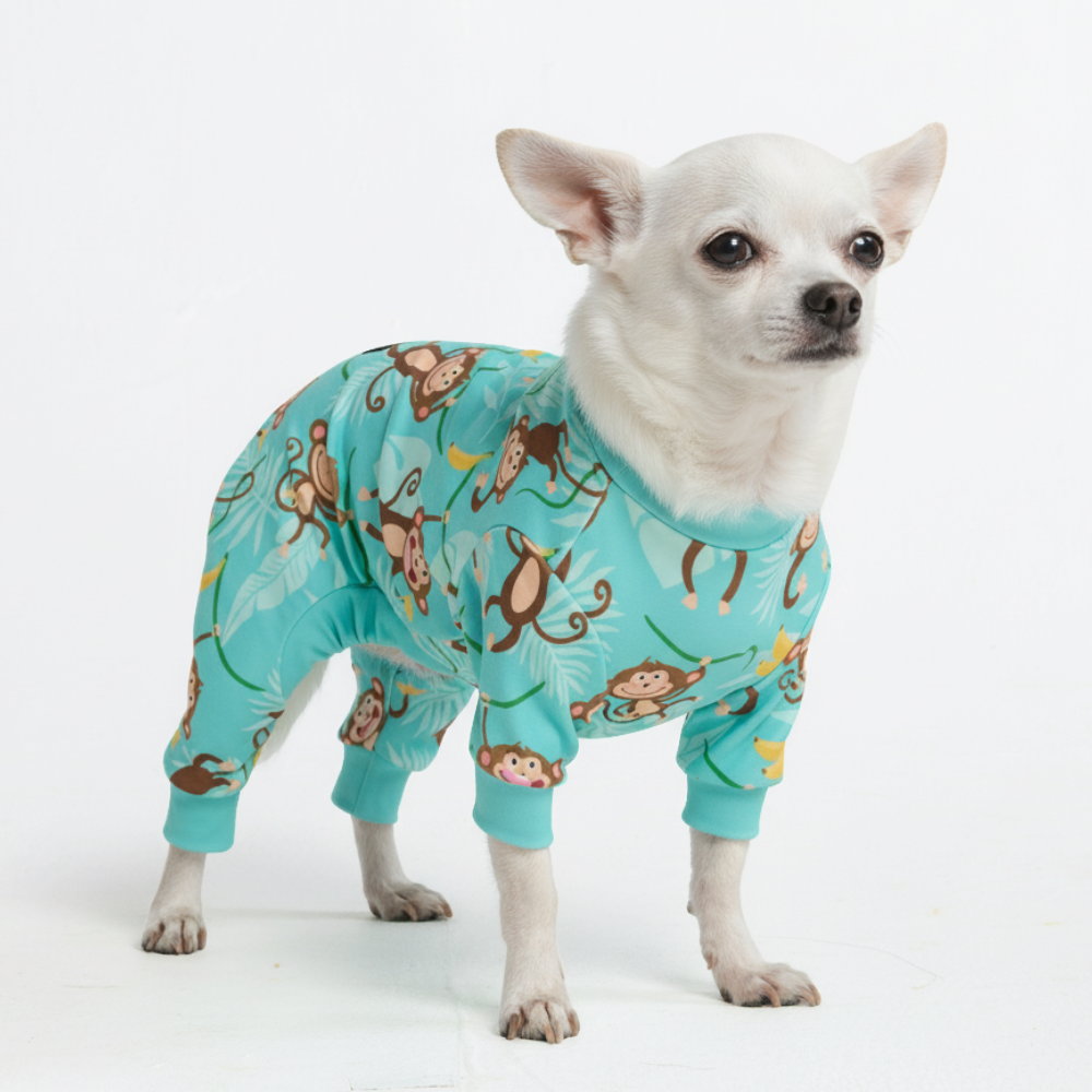 Dog Pajama Prints