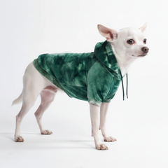 Velvet Dog Hoodie - Emerald Green