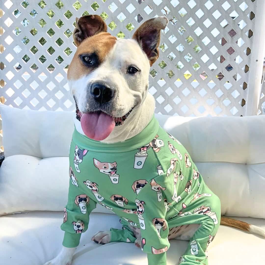 Dog Pajama Prints