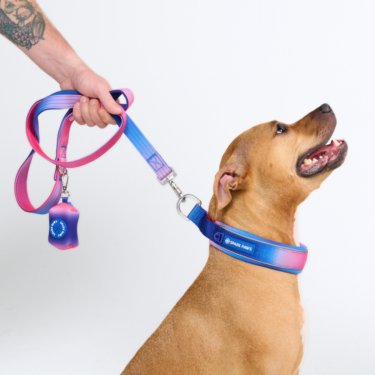 Martingale Dog Collars