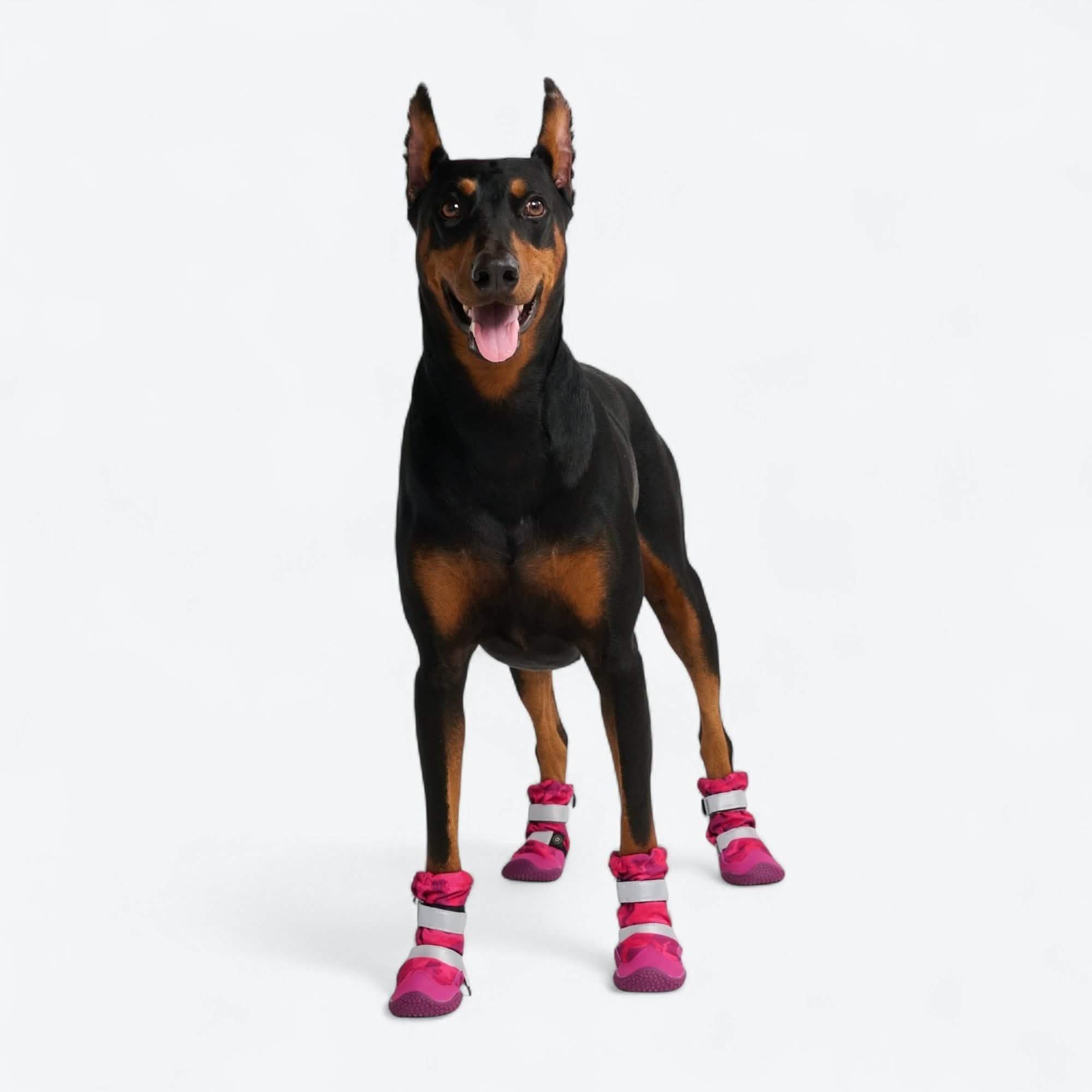 Flex Shell Waterproof Dog Boots