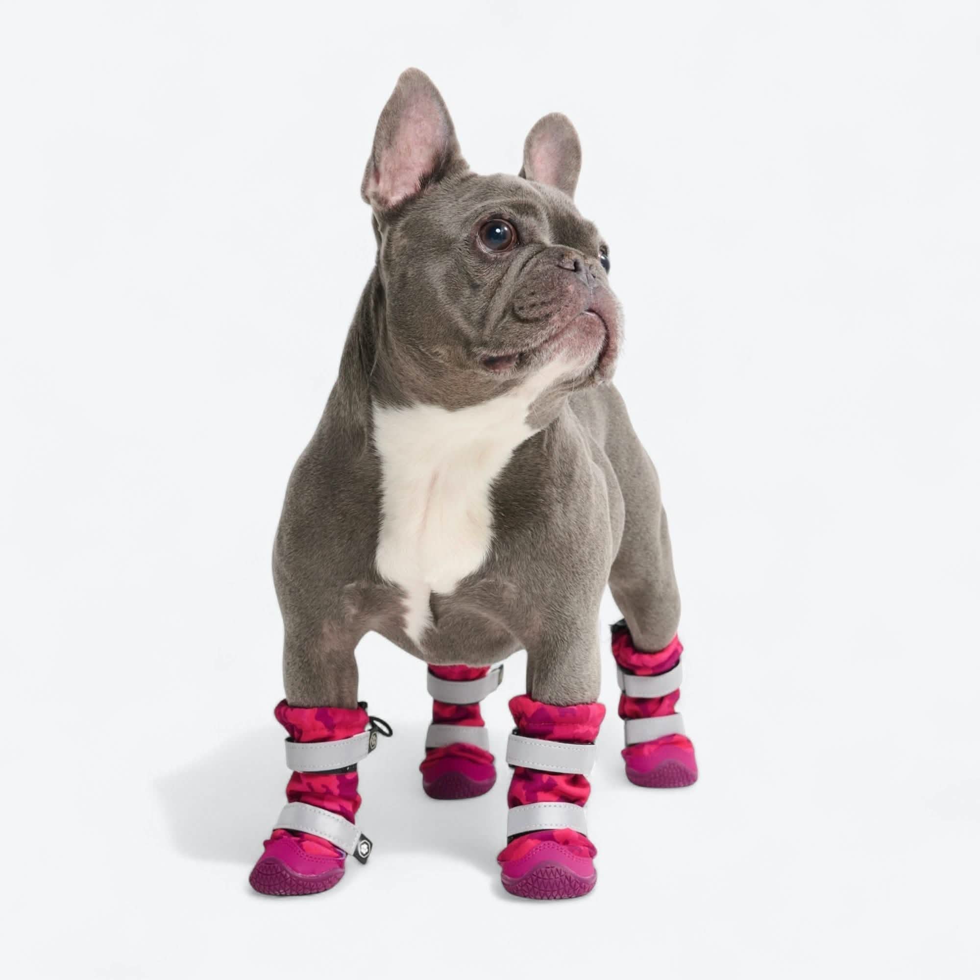 Flex Shell Waterproof Dog Boots