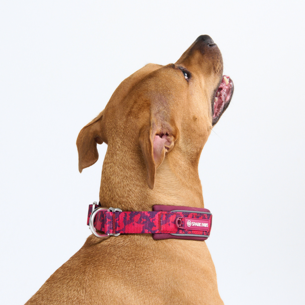 Martingale Collar - Fuchsia Camo