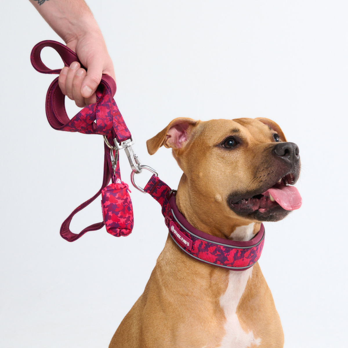 Martingale Collar - Fuchsia Camo