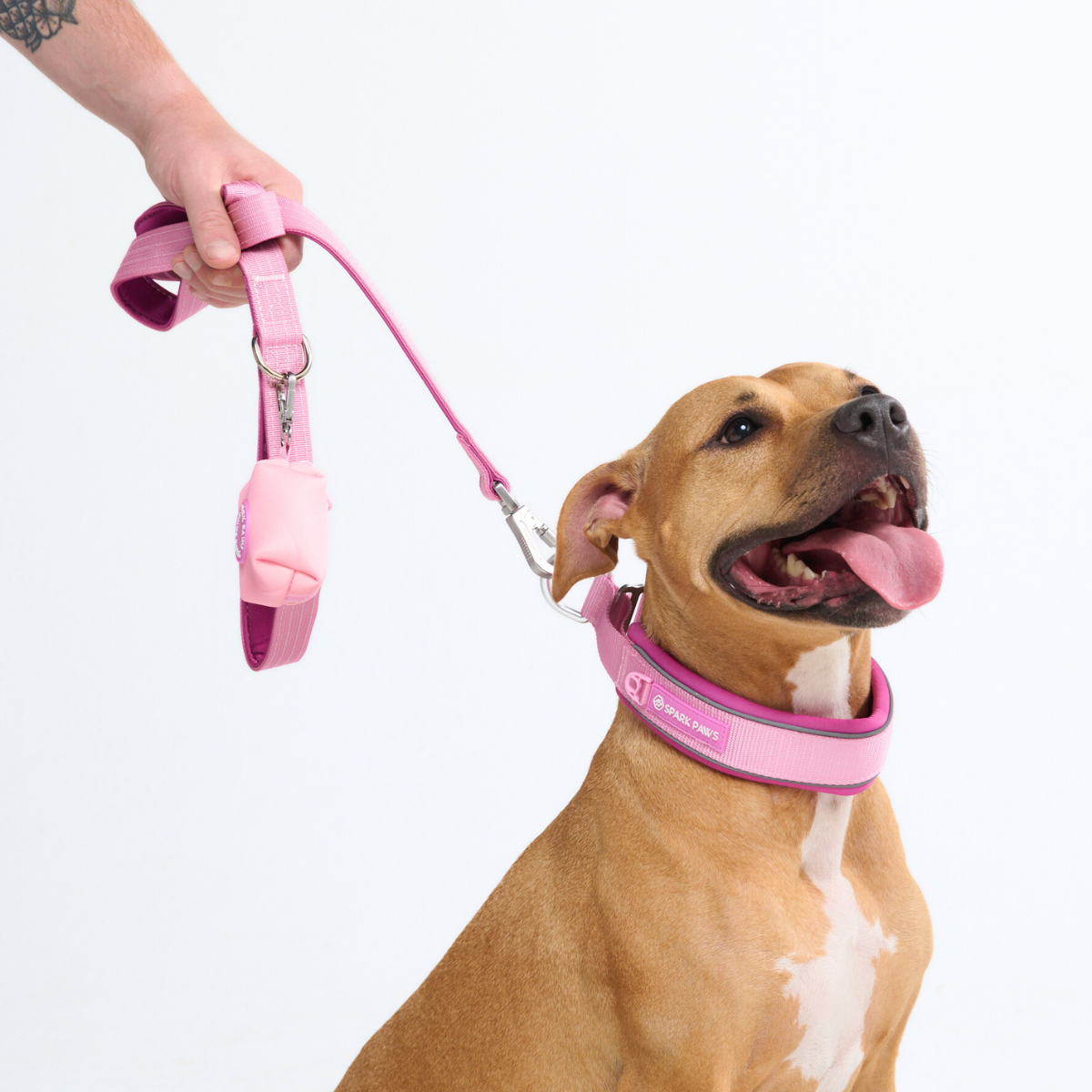 Martingale Collar - Pink