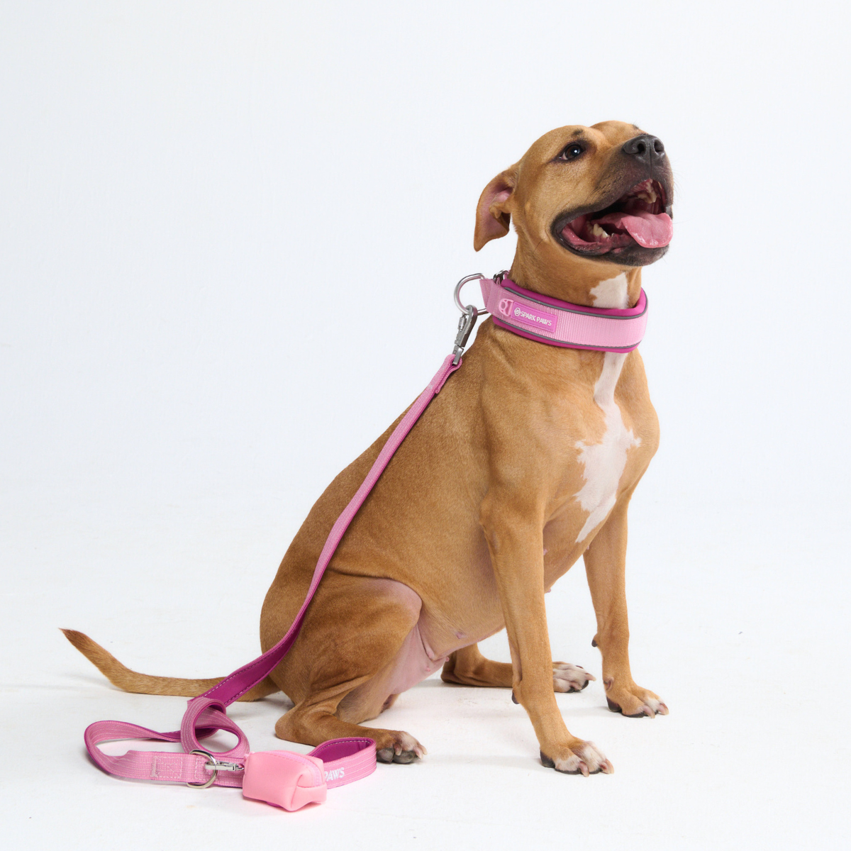 Martingale Dog Collars