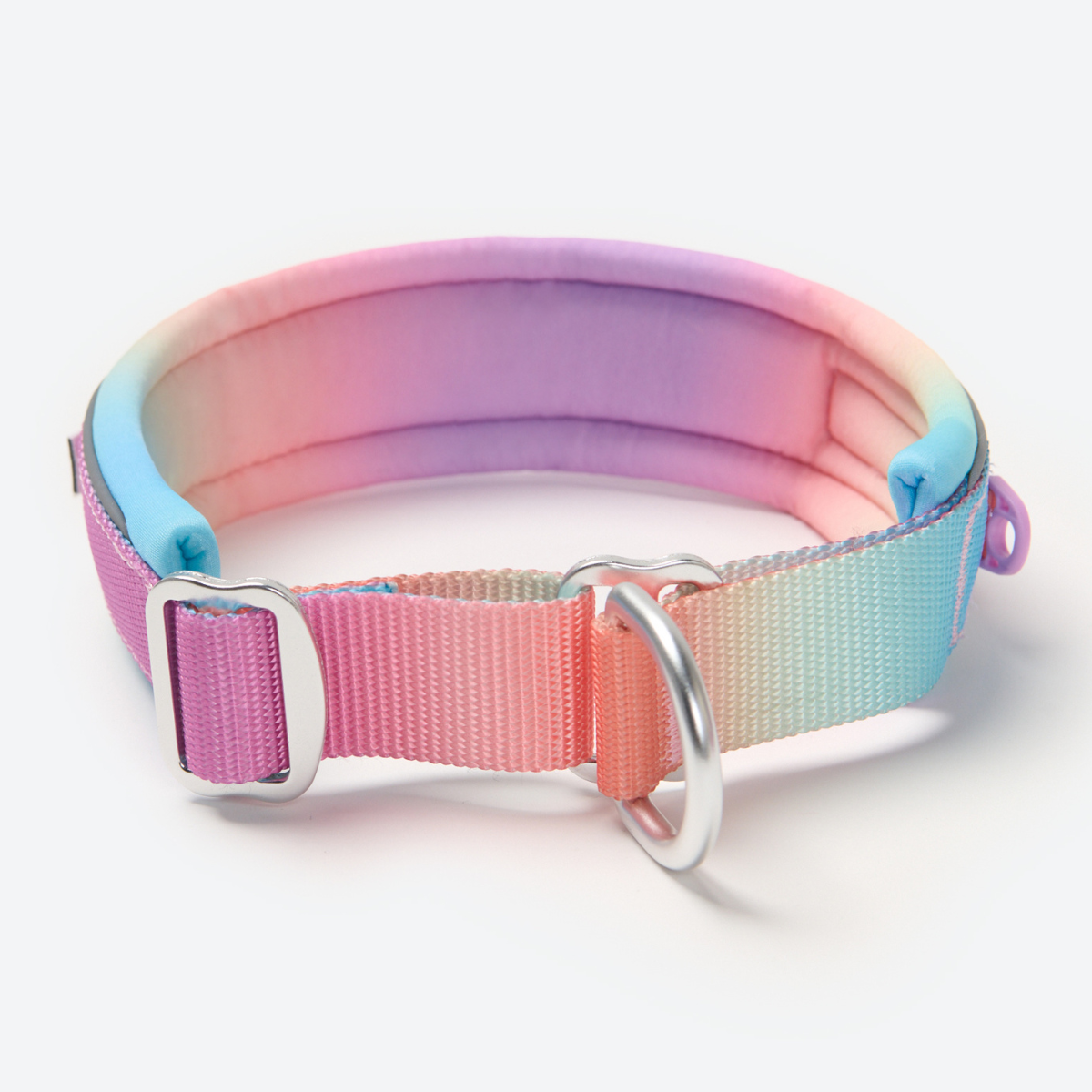 Martingale Dog Collars