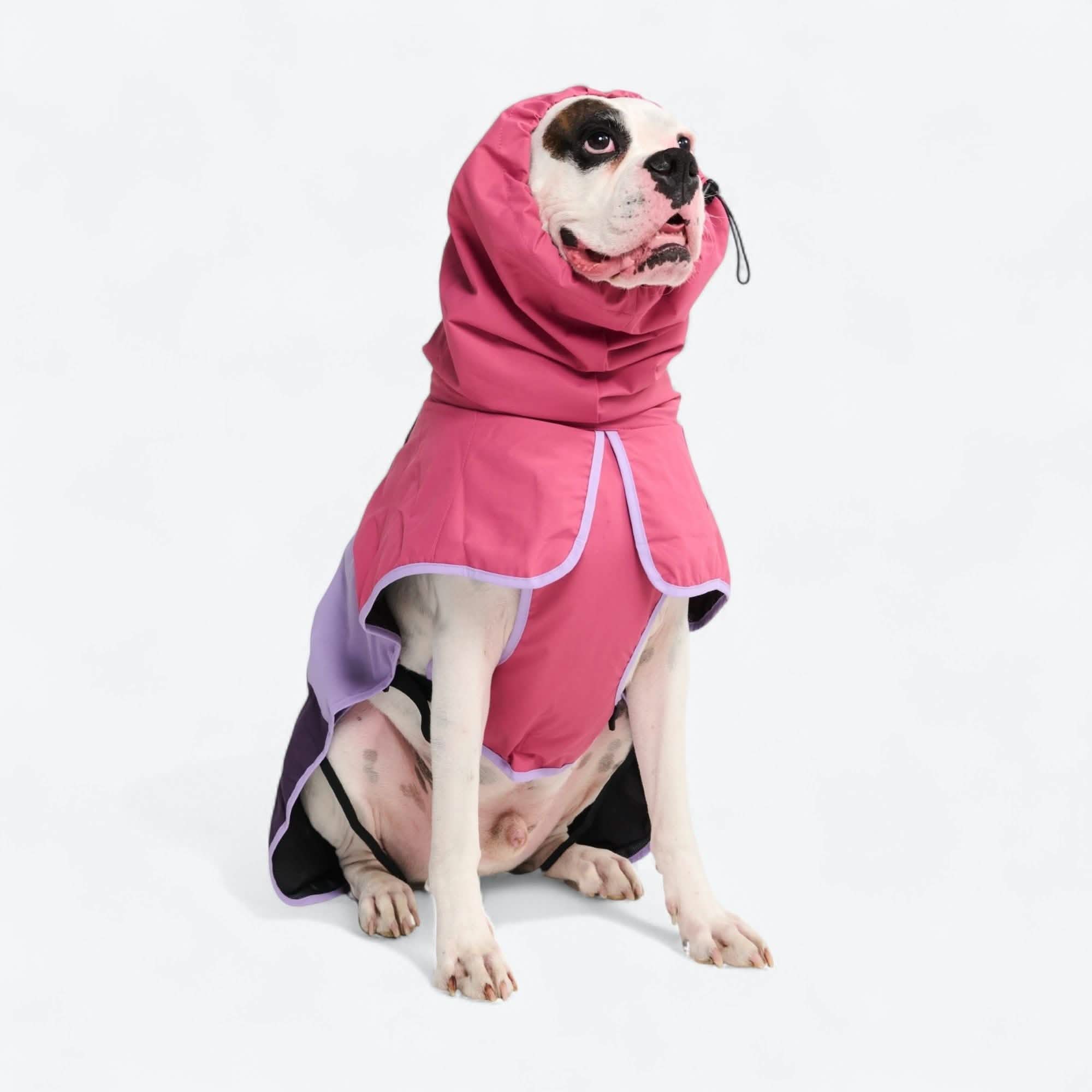 Breatheshield™ Dog Raincoat (Multi-Color)