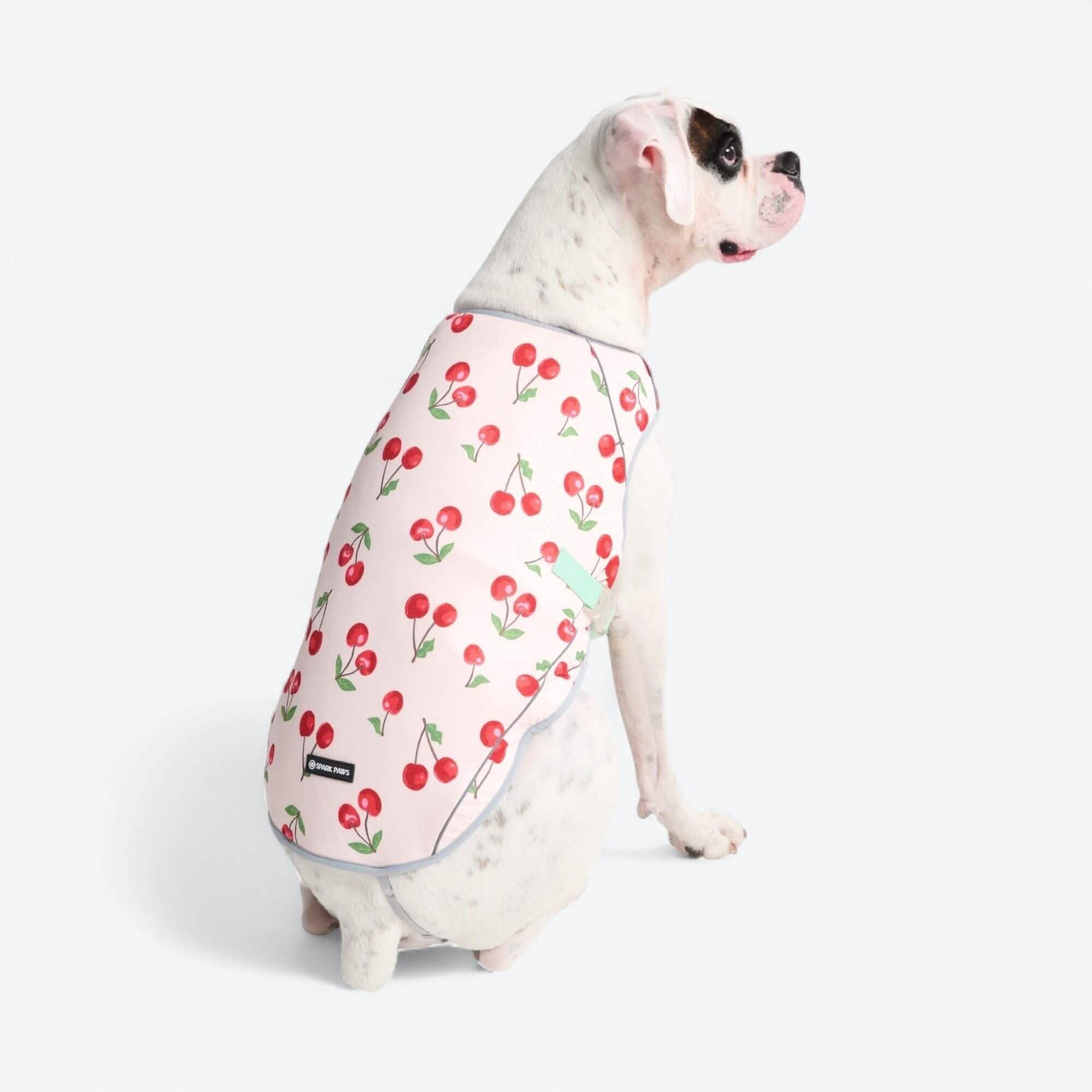 Chilltech™ Dog Cooling Vests