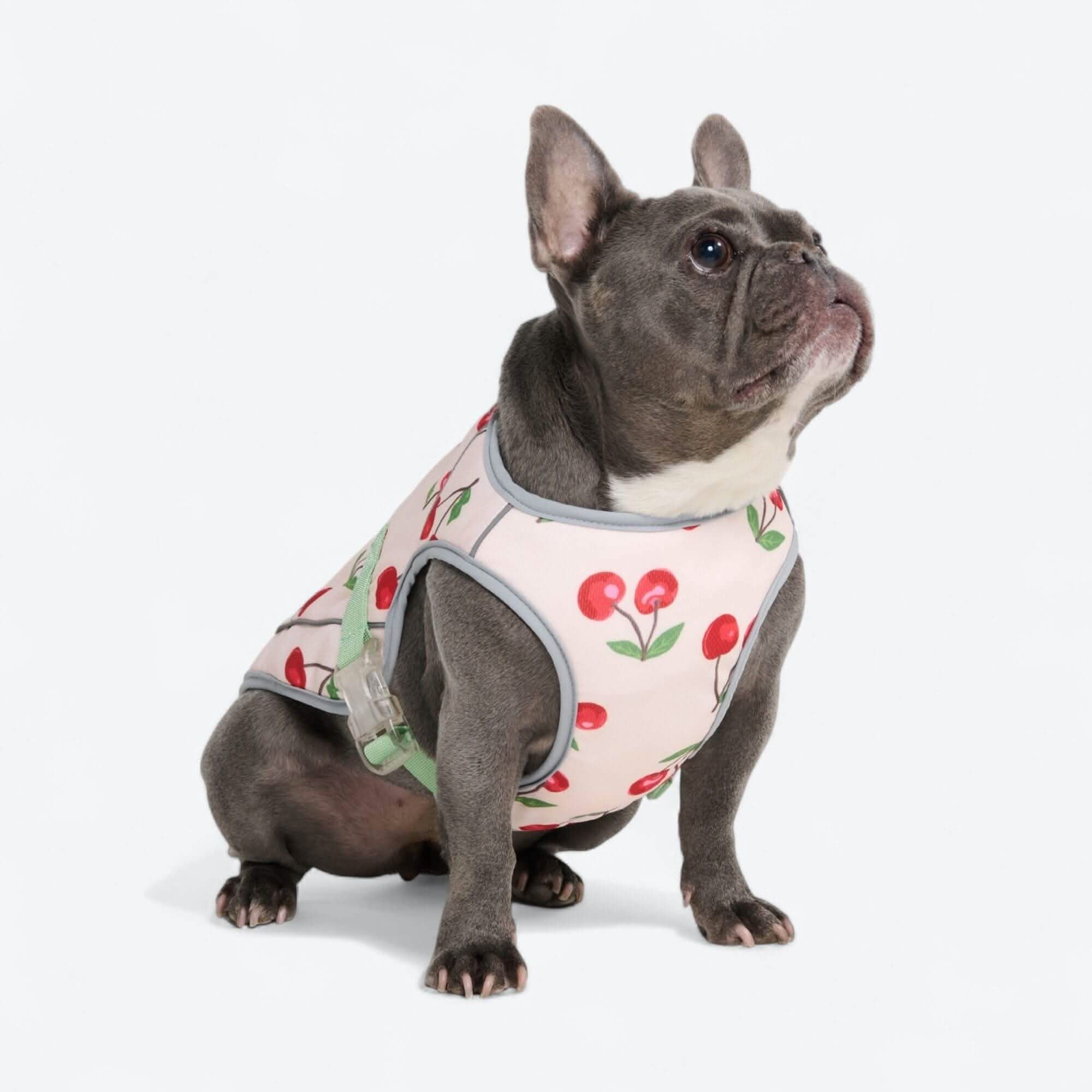 Chilltech™ Dog Cooling Vests