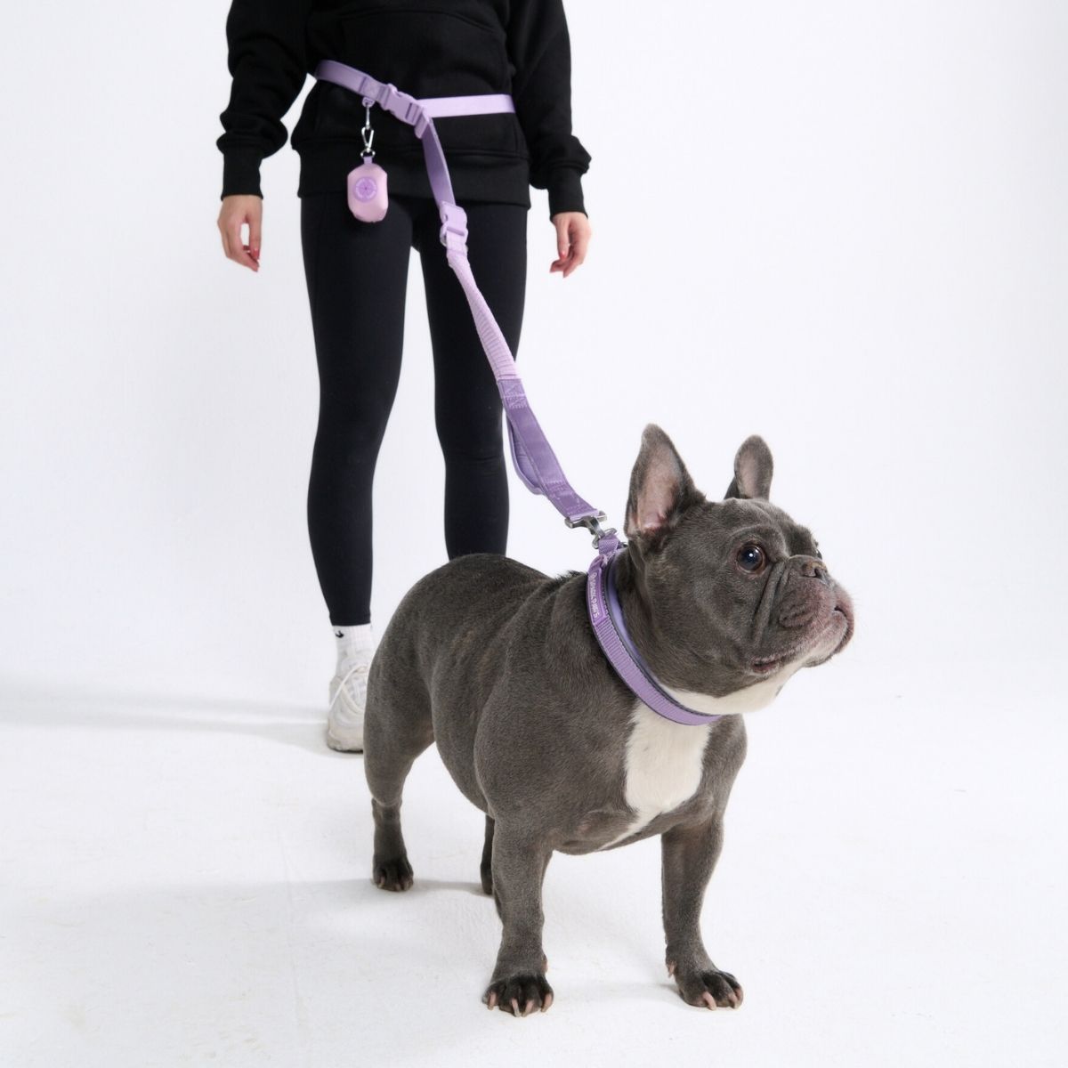 Multipurpose Seatbelt Handsfree Leash & Poop Bag Holder Set - Lilac