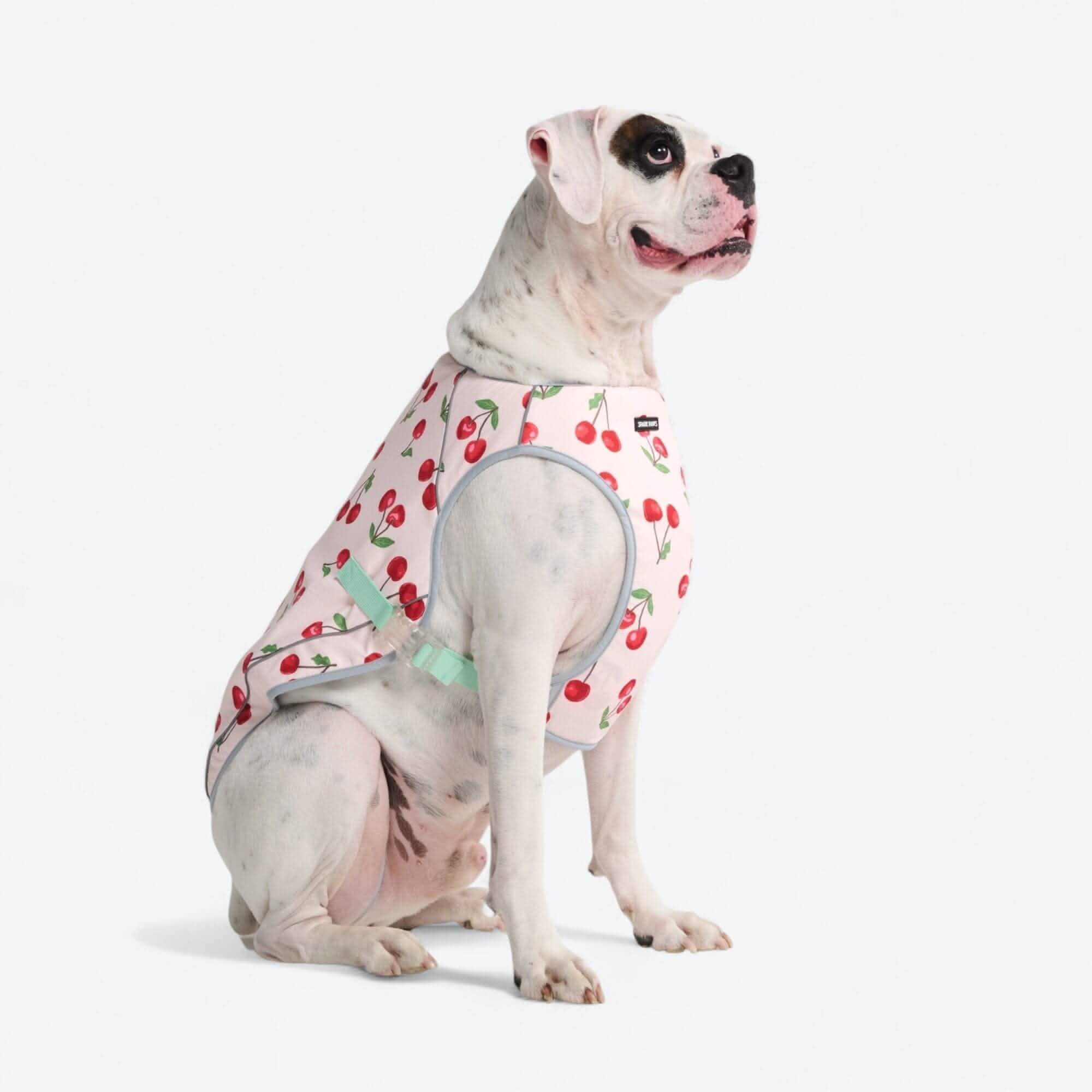 Chilltech™ Dog Cooling Vests