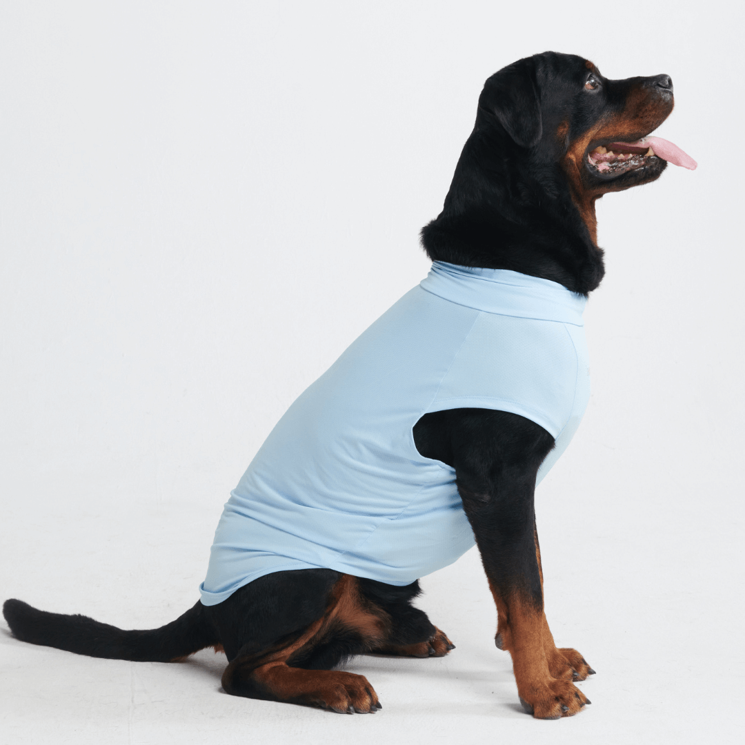 Sunblock Dog T-Shirts