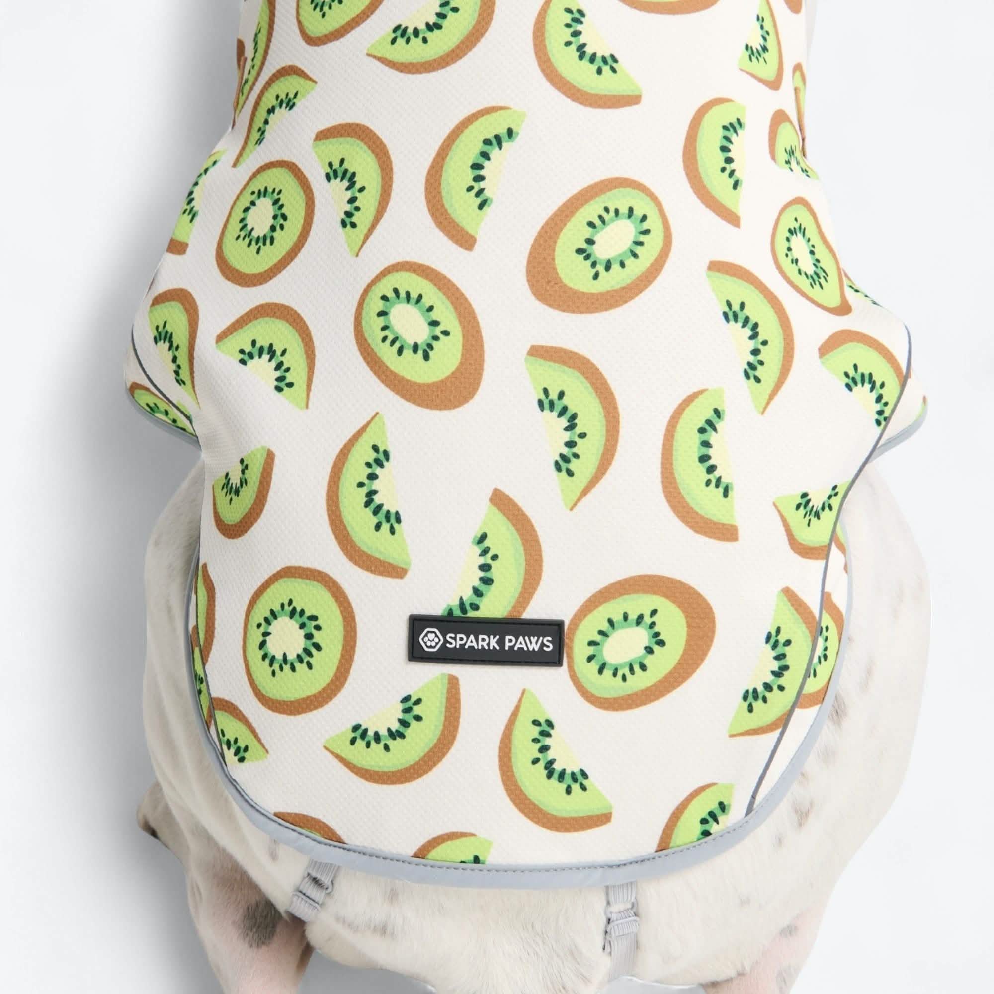 Dog Cooling Vest - Kiwi
