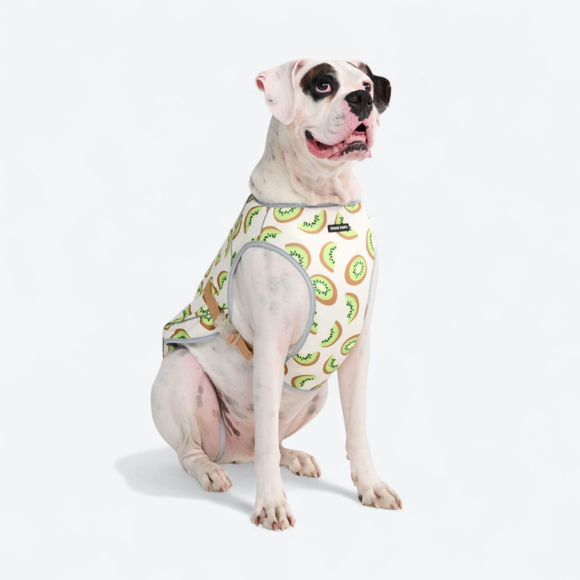 Chilltech™ Dog Cooling Vests