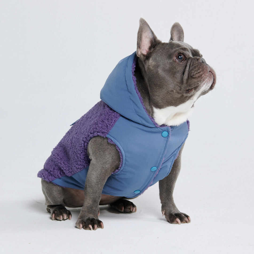 Reversible Sherpa Jacket - Purple and Blue