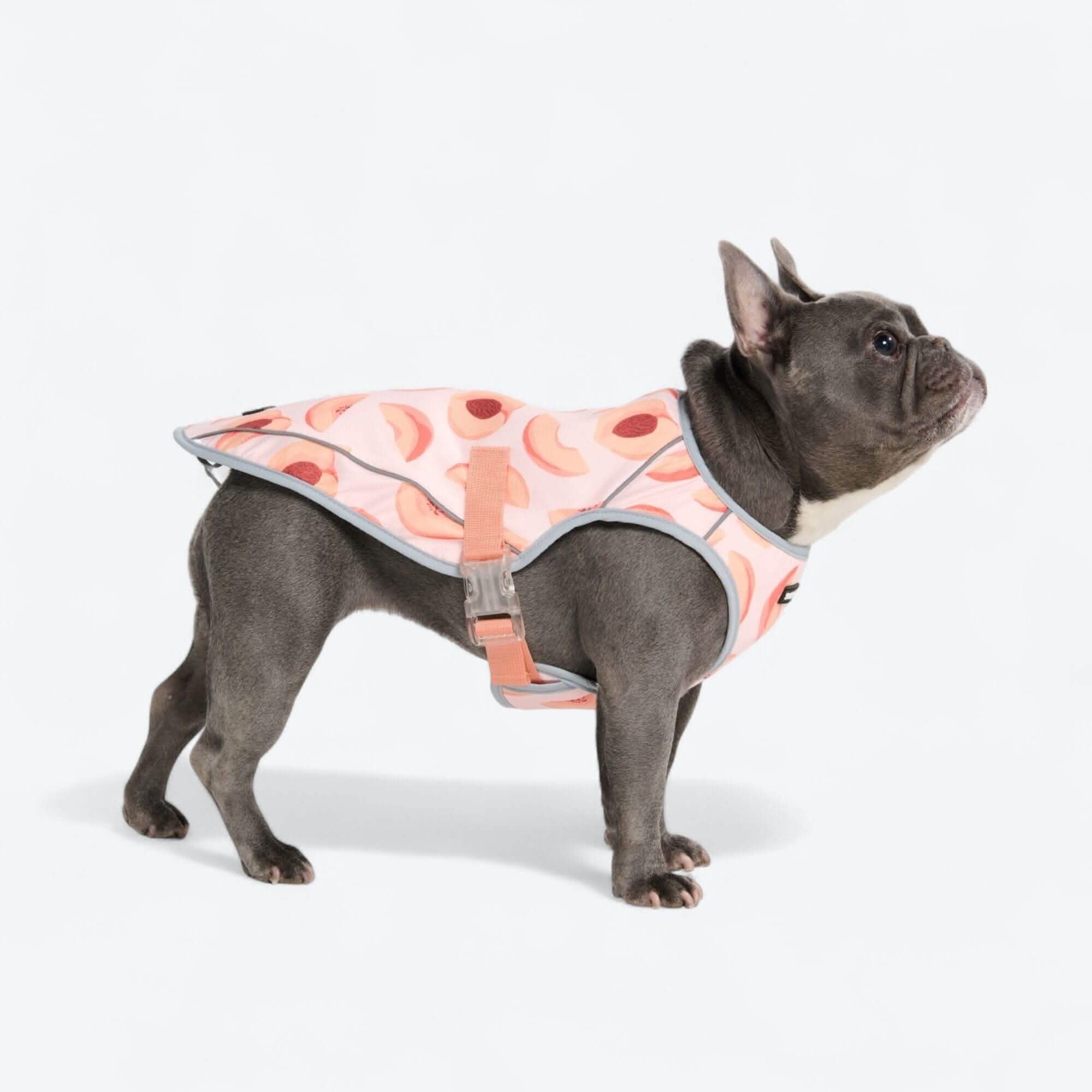 Chilltech™ Dog Cooling Vests